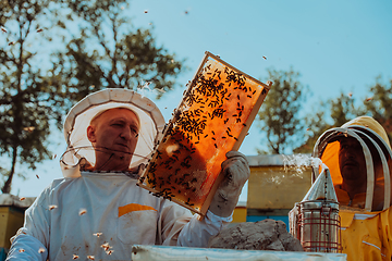 Image showing Beekeepers checking honey on the beehive frame in the field. Small business owners on apiary. Natural healthy food produceris working with bees and beehives on the apiary.