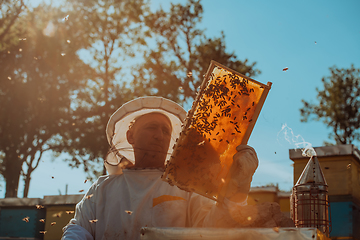 Image showing Beekeeper checking honey on the beehive frame in the field. Small business owner on apiary. Natural healthy food produceris working with bees and beehives on the apiary.