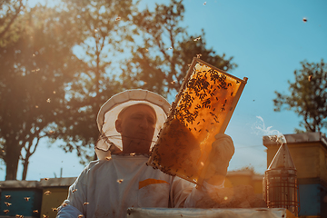 Image showing Beekeeper checking honey on the beehive frame in the field. Small business owner on apiary. Natural healthy food produceris working with bees and beehives on the apiary.