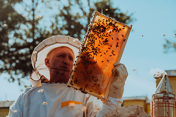 Image showing Beekeeper checking honey on the beehive frame in the field. Small business owner on apiary. Natural healthy food produceris working with bees and beehives on the apiary.