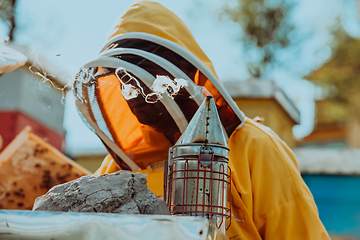 Image showing Beekeeper checking honey on the beehive frame in the field. Beekeeper on apiary. Beekeeper is working with bees and beehives on the apiary.