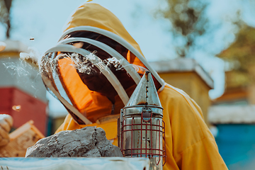 Image showing Beekeeper checking honey on the beehive frame in the field. Beekeeper on apiary. Beekeeper is working with bees and beehives on the apiary.