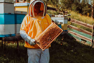 Image showing Beekeeper checking honey on the beehive frame in the field. Small business owner on apiary. Natural healthy food produceris working with bees and beehives on the apiary.
