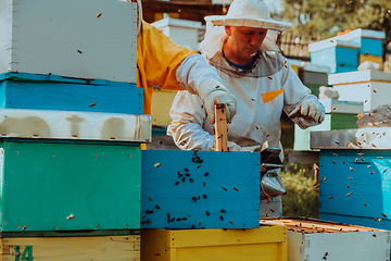 Image showing Beekeepers checking honey on the beehive frame in the field. Small business owners on apiary. Natural healthy food produceris working with bees and beehives on the apiary.