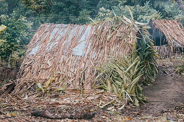 Image showing Primitive fisher shed in the wood