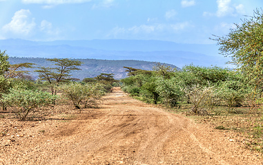 Image showing savanna in the Awash National Park, Ethiopia