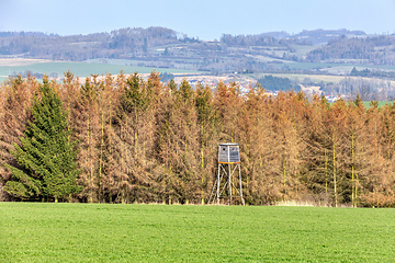 Image showing Wooden Hunters High Seat, hunting tower