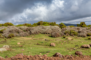 Image showing beautiful landscape of Bale Mountain, Ethiopia