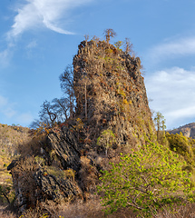 Image showing tree on rock landscape Madagascar