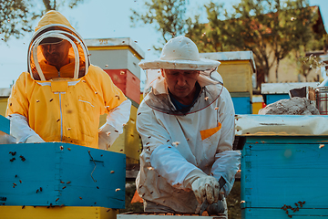 Image showing Beekeepers checking honey on the beehive frame in the field. Small business owners on apiary. Natural healthy food produceris working with bees and beehives on the apiary.