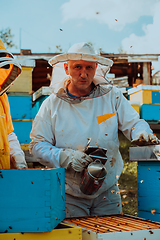 Image showing Beekeepers checking honey on the beehive frame in the field. Small business owners on apiary. Natural healthy food produceris working with bees and beehives on the apiary.