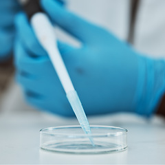 Image showing Science, pipette and closeup with a person in a laboratory to research the development of a vaccine. Healthcare, medical and innovation with a scientist at work in a lab for breakthrough treatment