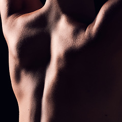 Image showing Back, dark and body of person with natural skincare texture isolated in a studio background for health or wellness. Strong, self care and creative skin for beauty or macro art deco of muscle