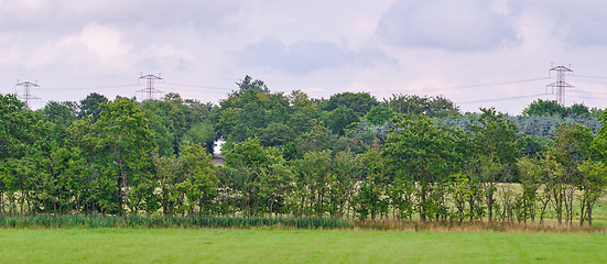 Image showing Denmark nature, countryside and environment. Nature in the Kingdom of Denmark.