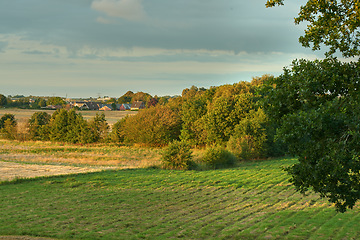 Image showing Denmark nature, countryside and environment. Nature in the Kingdom of Denmark.