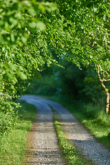 Image showing Denmark nature, countryside and environment. Nature in the Kingdom of Denmark.