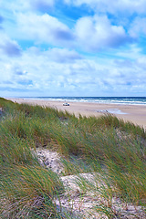 Image showing Denmark nature, countryside and environment. Nature in the Kingdom of Denmark.