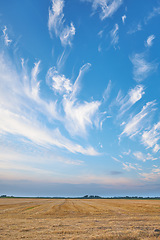 Image showing Denmark nature, countryside and environment. Nature in the Kingdom of Denmark.