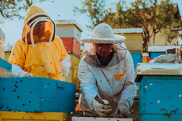 Image showing Beekeepers checking honey on the beehive frame in the field. Small business owners on apiary. Natural healthy food produceris working with bees and beehives on the apiary.