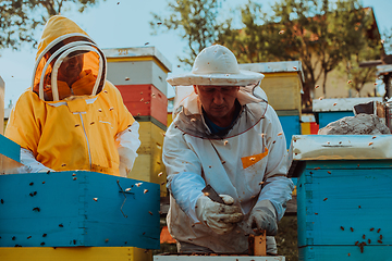 Image showing Beekeepers checking honey on the beehive frame in the field. Small business owners on apiary. Natural healthy food produceris working with bees and beehives on the apiary.