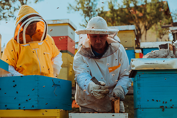 Image showing Beekeepers checking honey on the beehive frame in the field. Small business owners on apiary. Natural healthy food produceris working with bees and beehives on the apiary.