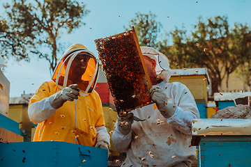 Image showing Beekeepers checking honey on the beehive frame in the field. Small business owners on apiary. Natural healthy food produceris working with bees and beehives on the apiary.