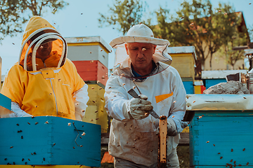 Image showing Beekeepers checking honey on the beehive frame in the field. Small business owners on apiary. Natural healthy food produceris working with bees and beehives on the apiary.