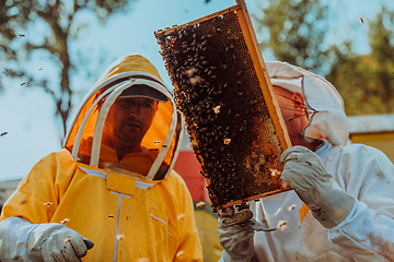 Image showing Beekeepers checking honey on the beehive frame in the field. Small business owners on apiary. Natural healthy food produceris working with bees and beehives on the apiary.