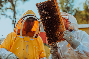 Image showing Beekeepers checking honey on the beehive frame in the field. Small business owners on apiary. Natural healthy food produceris working with bees and beehives on the apiary.