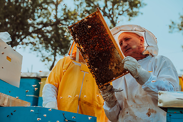 Image showing Beekeepers checking honey on the beehive frame in the field. Small business owners on apiary. Natural healthy food produceris working with bees and beehives on the apiary.