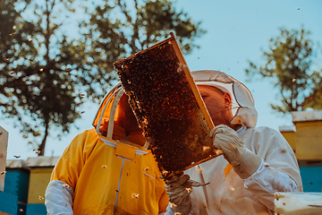 Image showing Beekeepers checking honey on the beehive frame in the field. Small business owners on apiary. Natural healthy food produceris working with bees and beehives on the apiary.