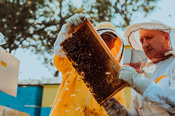 Image showing Beekeepers checking honey on the beehive frame in the field. Small business owners on apiary. Natural healthy food produceris working with bees and beehives on the apiary.