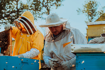 Image showing Beekeepers checking honey on the beehive frame in the field. Small business owners on apiary. Natural healthy food produceris working with bees and beehives on the apiary.