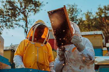 Image showing Beekeepers checking honey on the beehive frame in the field. Small business owners on apiary. Natural healthy food produceris working with bees and beehives on the apiary.