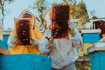 Image showing Beekeepers checking honey on the beehive frame in the field. Small business owners on apiary. Natural healthy food produceris working with bees and beehives on the apiary.