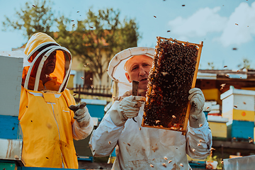 Image showing Beekeepers checking honey on the beehive frame in the field. Small business owners on apiary. Natural healthy food produceris working with bees and beehives on the apiary.