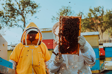 Image showing Beekeepers checking honey on the beehive frame in the field. Small business owners on apiary. Natural healthy food produceris working with bees and beehives on the apiary.