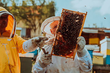 Image showing Beekeepers checking honey on the beehive frame in the field. Small business owners on apiary. Natural healthy food produceris working with bees and beehives on the apiary.