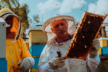 Image showing Beekeepers checking honey on the beehive frame in the field. Small business owners on apiary. Natural healthy food produceris working with bees and beehives on the apiary.