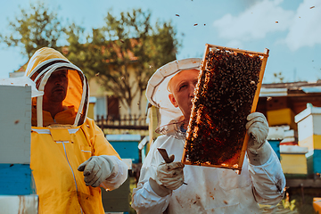 Image showing Beekeepers checking honey on the beehive frame in the field. Small business owners on apiary. Natural healthy food produceris working with bees and beehives on the apiary.