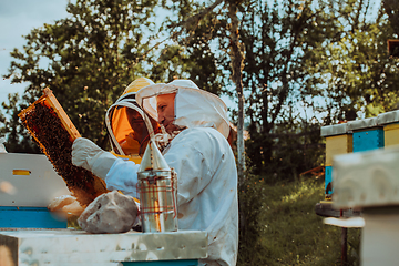 Image showing Beekeepers checking honey on the beehive frame in the field. Small business owners on apiary. Natural healthy food produceris working with bees and beehives on the apiary.