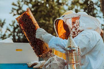 Image showing Beekeepers checking honey on the beehive frame in the field. Small business owners on apiary. Natural healthy food produceris working with bees and beehives on the apiary.