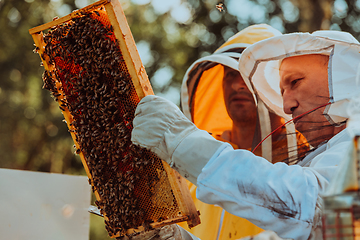 Image showing Beekeepers checking honey on the beehive frame in the field. Small business owners on apiary. Natural healthy food produceris working with bees and beehives on the apiary.