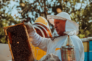 Image showing Beekeepers checking honey on the beehive frame in the field. Small business owners on apiary. Natural healthy food produceris working with bees and beehives on the apiary.