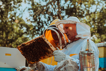 Image showing Beekeepers checking honey on the beehive frame in the field. Small business owners on apiary. Natural healthy food produceris working with bees and beehives on the apiary.