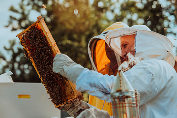 Image showing Beekeepers checking honey on the beehive frame in the field. Small business owners on apiary. Natural healthy food produceris working with bees and beehives on the apiary.