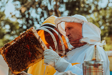 Image showing Beekeepers checking honey on the beehive frame in the field. Small business owners on apiary. Natural healthy food produceris working with bees and beehives on the apiary.