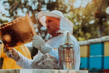 Image showing Beekeeper checking honey on the beehive frame in the field. Beekeeper on apiary. Beekeeper is working with bees and beehives on the apiary.