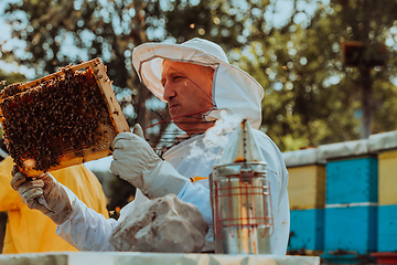 Image showing Beekeeper checking honey on the beehive frame in the field. Beekeeper on apiary. Beekeeper is working with bees and beehives on the apiary.