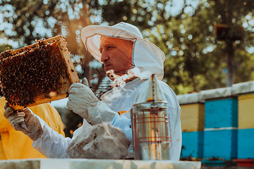 Image showing Beekeeper checking honey on the beehive frame in the field. Beekeeper on apiary. Beekeeper is working with bees and beehives on the apiary.